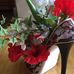 Cathy Seifried - Facebook