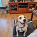 Cathy Sheppard - Facebook