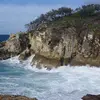 Cathy Sheppard - @cathy.sheppard4 - TikTok