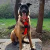 cathysisko - @cathysisko - TikTok