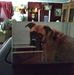 Catherine Snell - Facebook