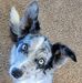 Cathy Snell - Facebook