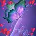 Catherine Southwick - Facebook