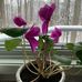 Cathy Southwick - Facebook
