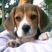 Cathy Spinelli - Facebook