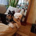 Cathy Spivey - @cathyspvy - Instagram