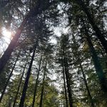 Cathy Squires - @cathysquires2 - Instagram