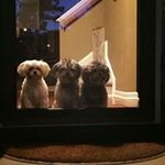 Cathy Starr - @lillucymomma - Instagram