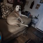 Cathy Starr - Facebook