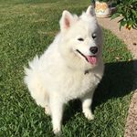 Cathy Worsham Starr - @cathy_starr16 - Instagram