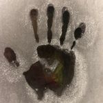 Cathy Stevens Pratt - @cathystevenspratt - Instagram