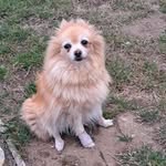 Cathy Summers - @cathy.summers.359778 - Instagram