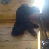 Cathy Sutherland - @cathy.sutherland1 - TikTok