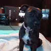 cathy swain - @cathy.swain - TikTok
