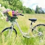 Cathy Tate Whitehead - @katetate64 - Instagram