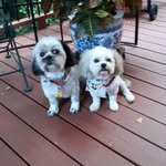 Cathy Tompkins Stevens - @cathy.t.stevens - Instagram
