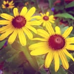 Cathy Troutman - @keep_true64 - Instagram