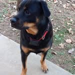 Cathy troutman - @cathytroutman6 - Instagram