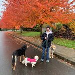 Cathy Waldron - @cathyawaldron - Instagram