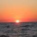 Cathy Wall - Facebook
