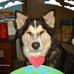 Cathy Wall - Facebook