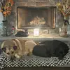 Cathy W - @cathy.wallace - TikTok