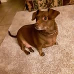 Cathy Wallace - Facebook