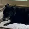 Cathy S. Watkins - @cathy.s..watkins - TikTok