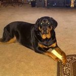 Cathy Watkins - @cathy.watkins.77 - Instagram