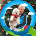 Cathy Welsh - Facebook