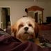 Cathy Welsh - Facebook