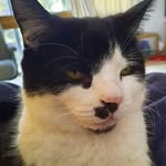 Catherine Hays Wessels - @cathywess - Instagram