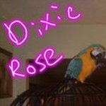 cathy wheeler - @cathywheeler813 - Instagram