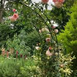 Cathy Wheeler - @cathywheeler4237 - Instagram