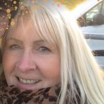 Cathy Wheeler - @cathywheel62 - Instagram