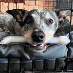Cathy Whitaker - @cyclone_sadie - Instagram