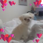 Cathy Whitaker - @cathy.whitaker.106 - Instagram