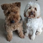 Cathy Whitaker - @cathywhitaker15 - Instagram