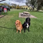 Cathy Whitehead - Facebook