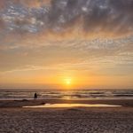 Cathy Whitlock - @cathywhitlock61 - Instagram
