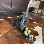 Cathy Whitlock - @cathy_whitlock - Instagram