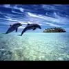 Cathy Whitlock texas - @cathy.whitlock.te - TikTok