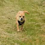 Cathy Wiggins - @cathywig54321 - Instagram