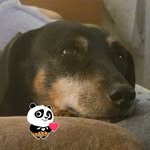 Cathy Wiggins Little - @littlemom247 - Instagram