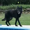 Cathy Ligon Williamson - @cathy.ligon.willi - TikTok