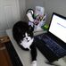 Cathy Wishart - Facebook