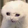 CathyS With_art - @user9526268664714 - TikTok