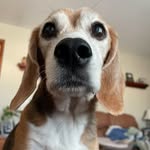 Cathy Witteman - @cathywitteman - Instagram