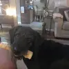 Cathy Workman - @cathy.workman - TikTok