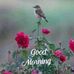 Cathy tmy yao - Facebook